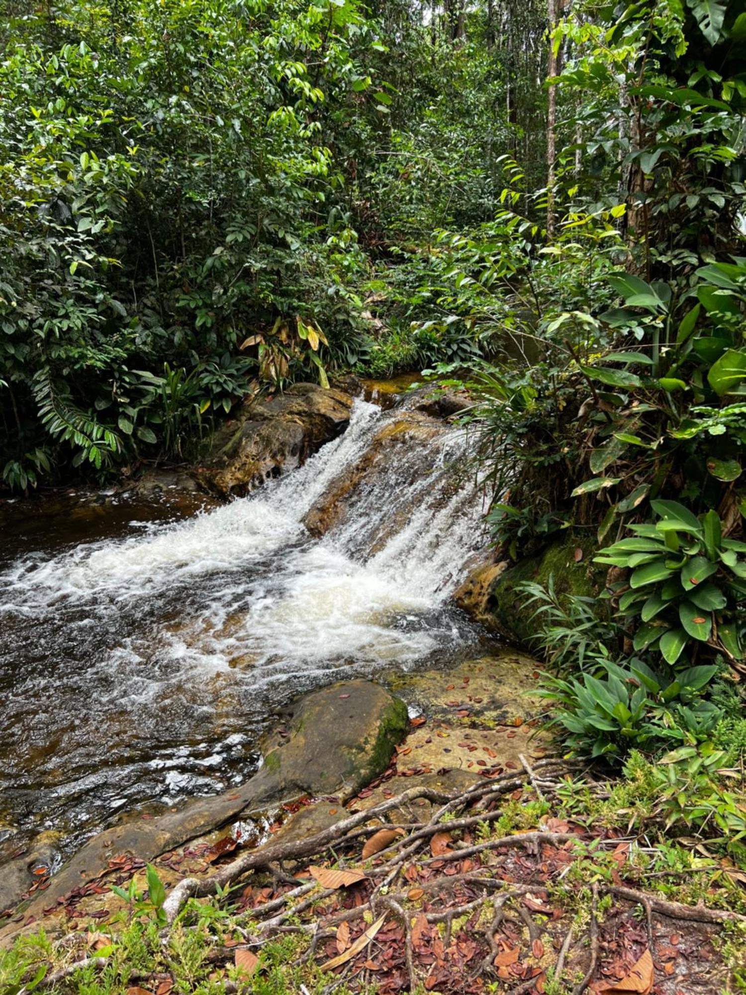 Pousada Paraíso do Calango Azul Presidente Figueiredo Exterior foto