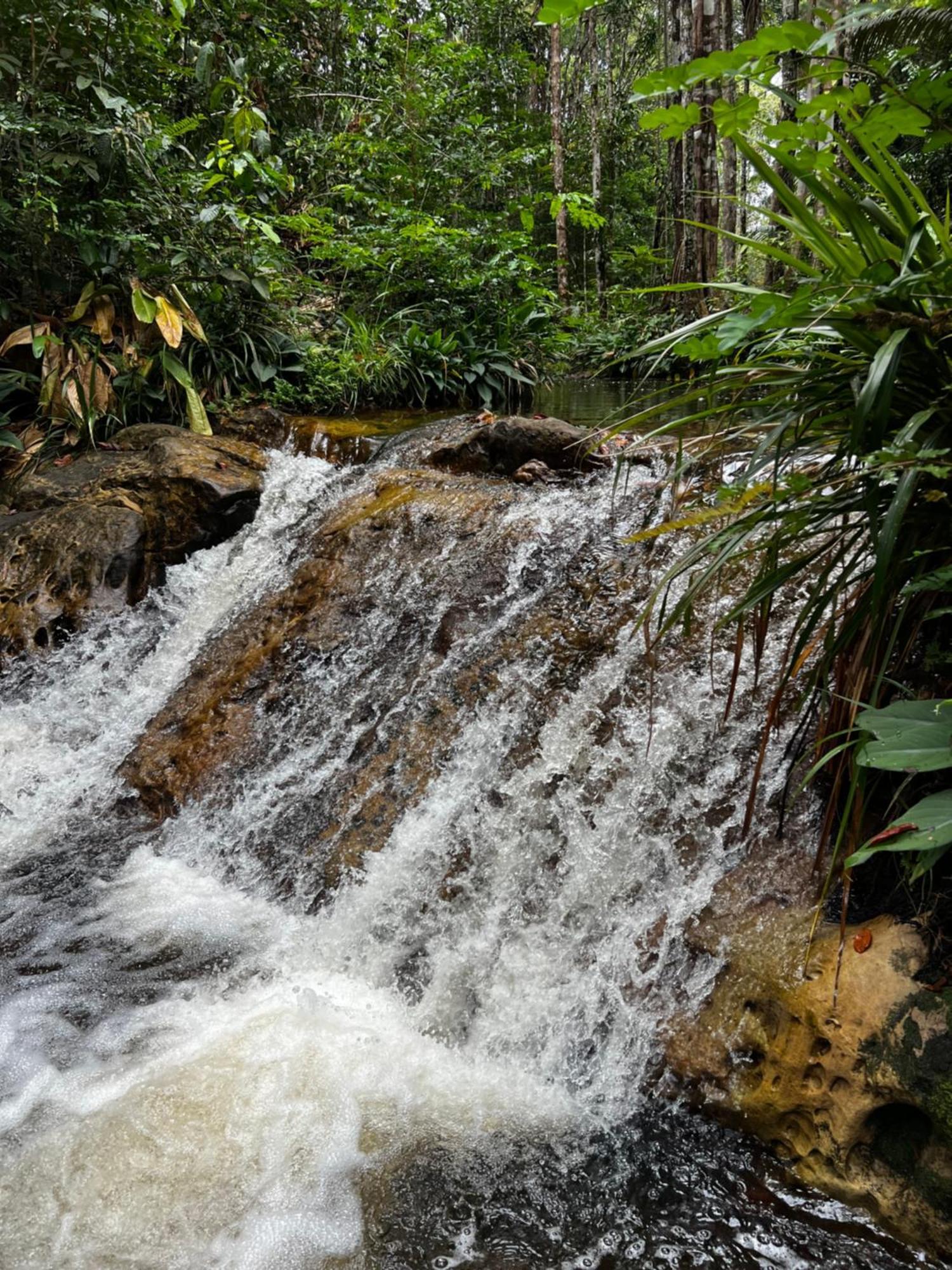 Pousada Paraíso do Calango Azul Presidente Figueiredo Exterior foto