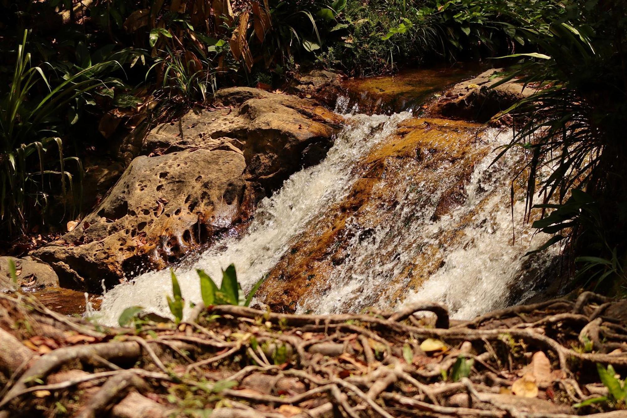 Pousada Paraíso do Calango Azul Presidente Figueiredo Exterior foto