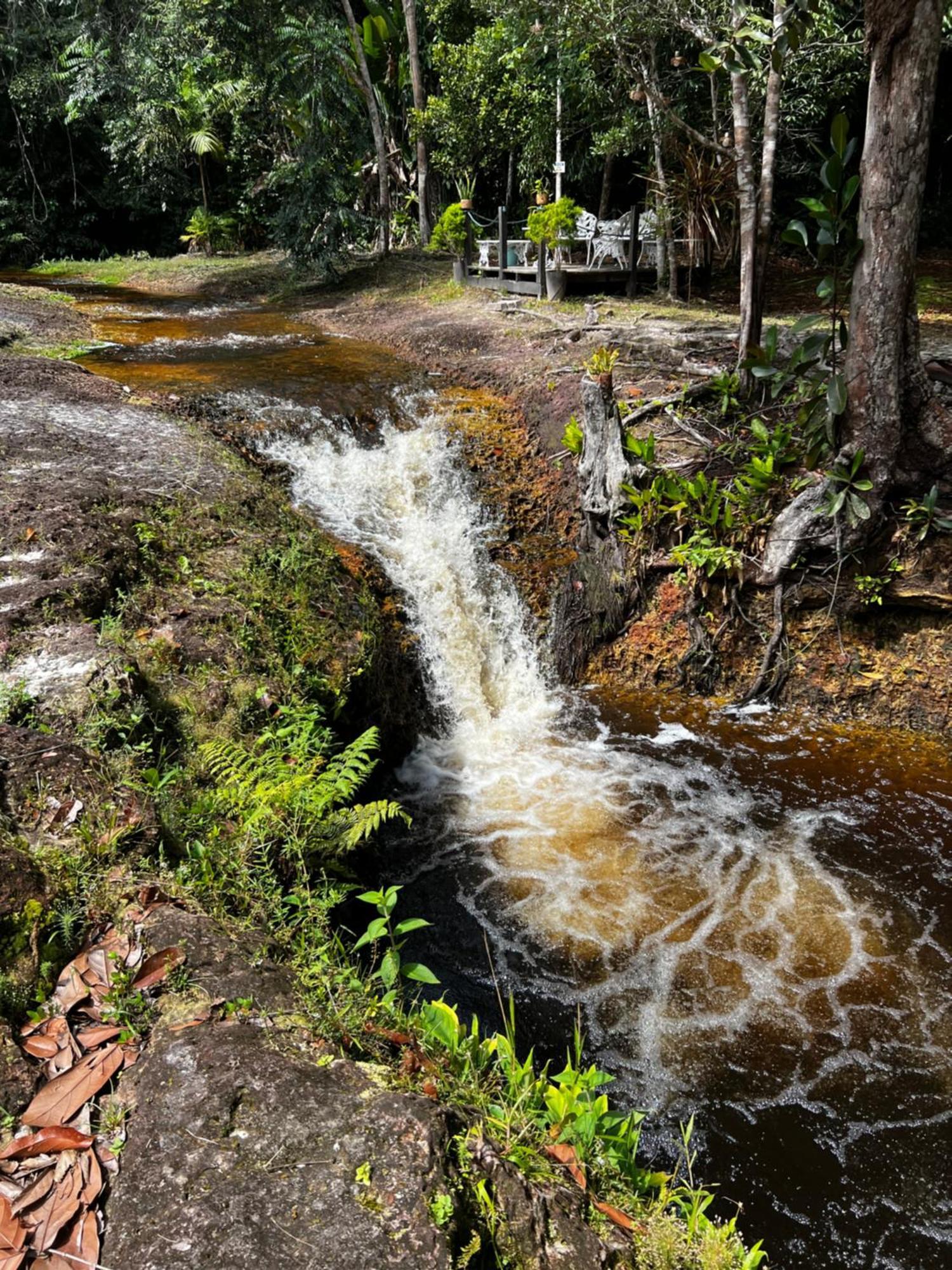 Pousada Paraíso do Calango Azul Presidente Figueiredo Exterior foto