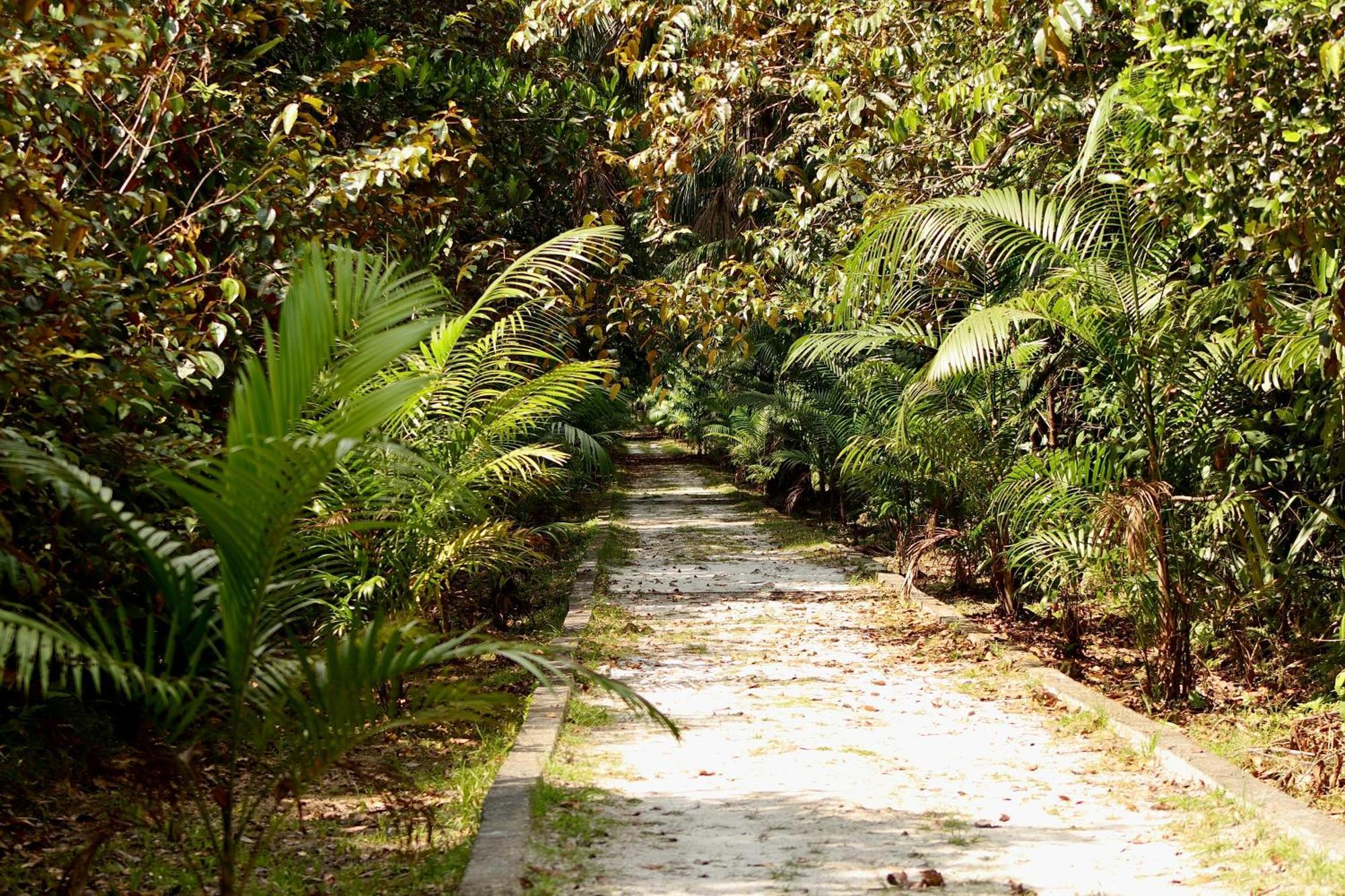 Pousada Paraíso do Calango Azul Presidente Figueiredo Exterior foto