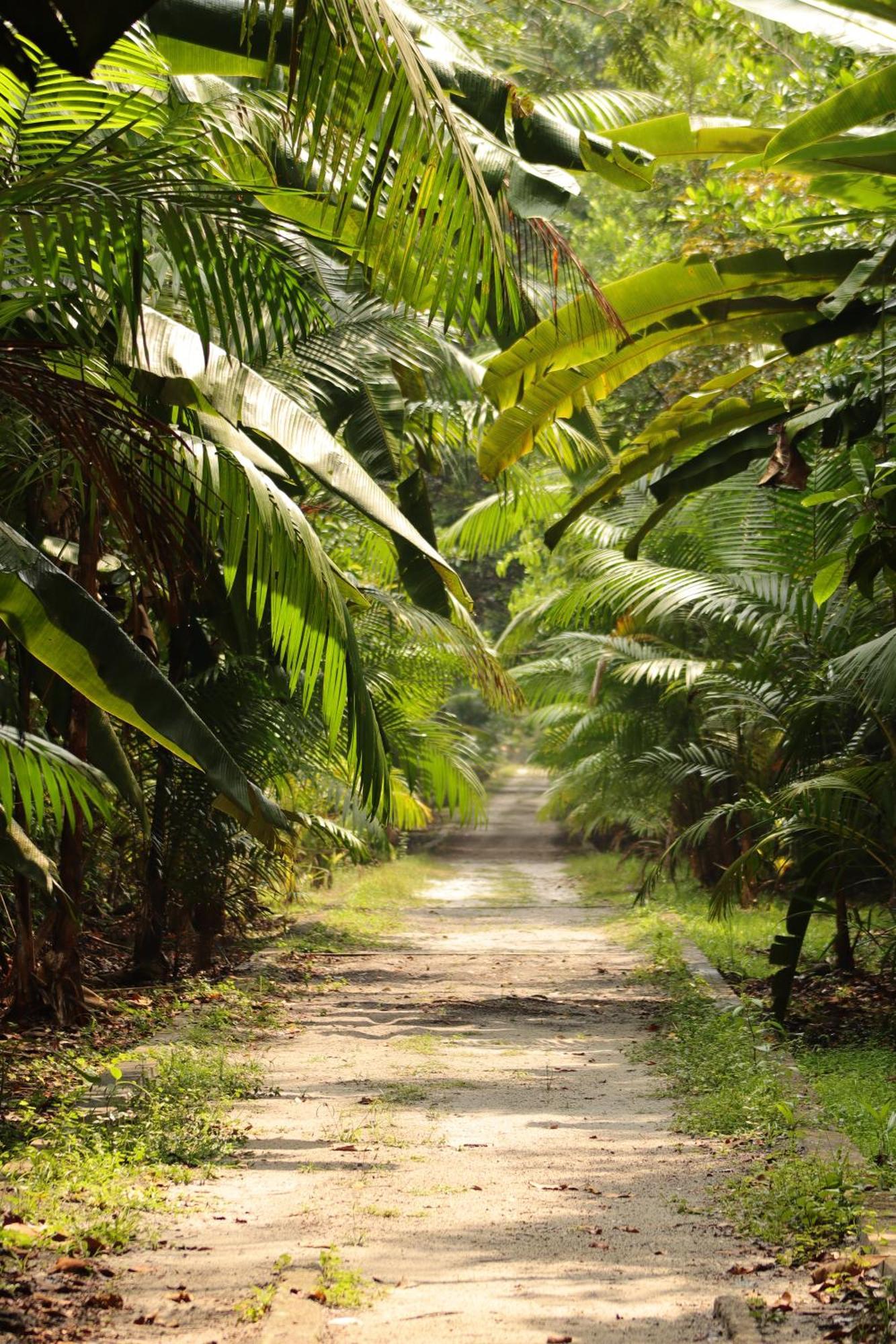Pousada Paraíso do Calango Azul Presidente Figueiredo Exterior foto