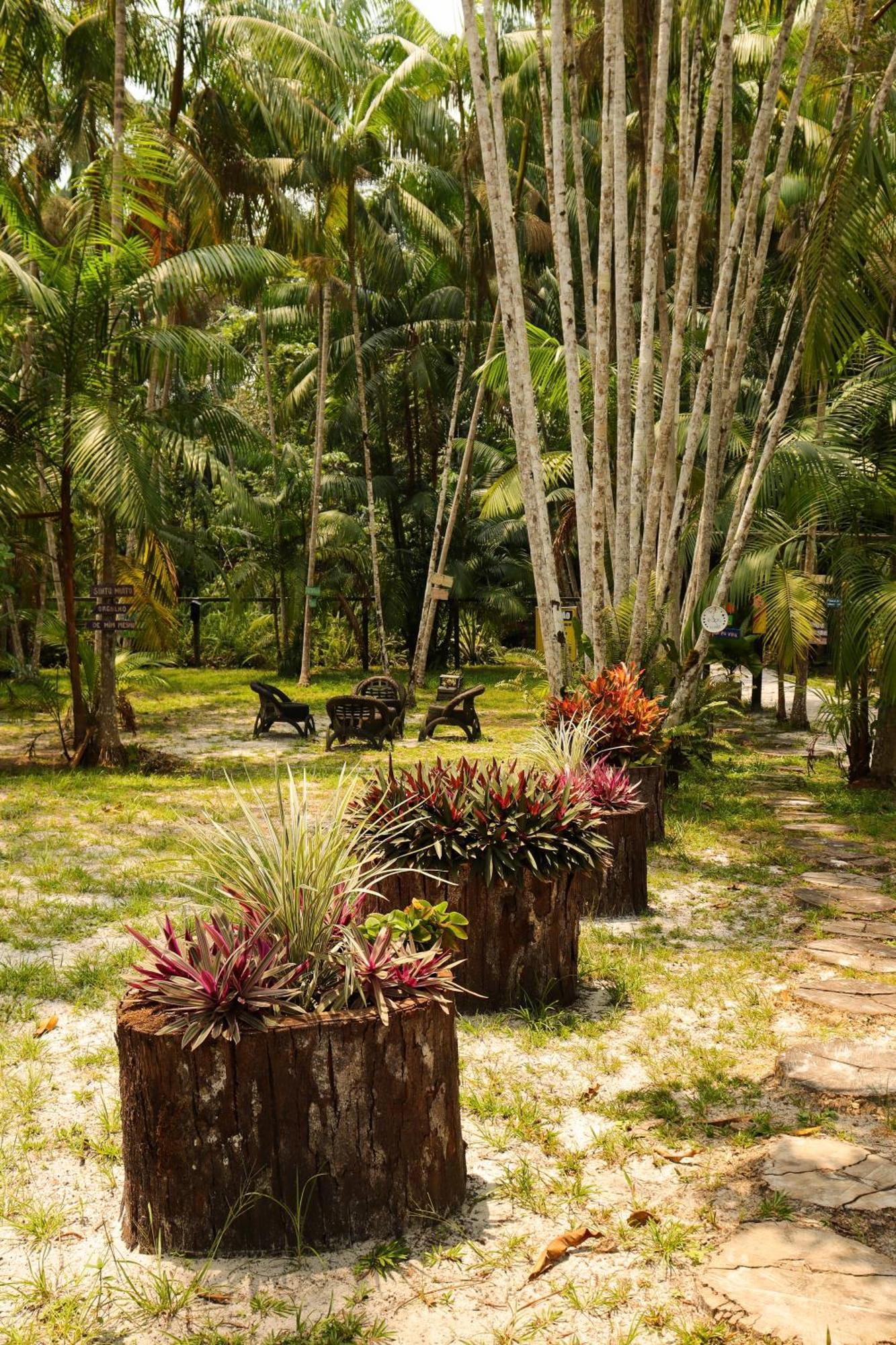 Pousada Paraíso do Calango Azul Presidente Figueiredo Exterior foto